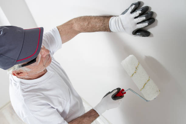 Best Crawl Space Mold Remediation  in Burlington, WI