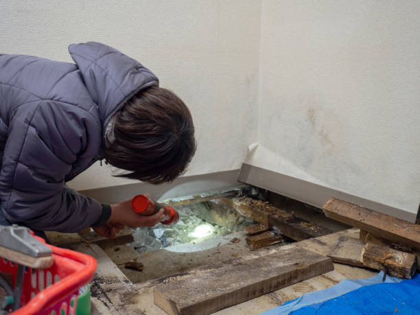 Best Residential Mold Inspection & Testing  in Burlington, WI