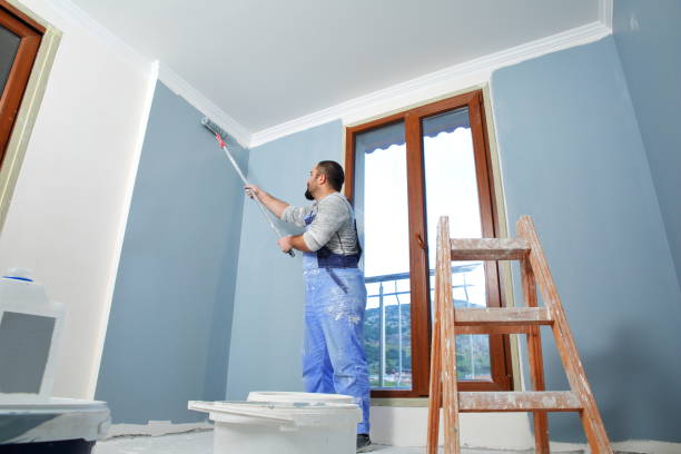 Best Environmental Consulting for Mold Prevention  in Burlington, WI
