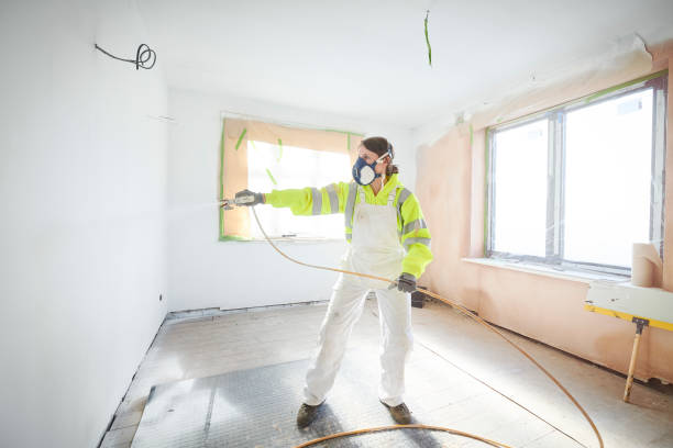 Best Post-Construction Mold Inspection  in Burlington, WI