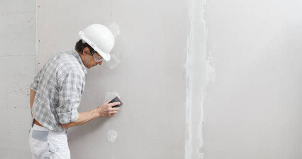 Best Mold Removal for HVAC Installations  in Burlington, WI