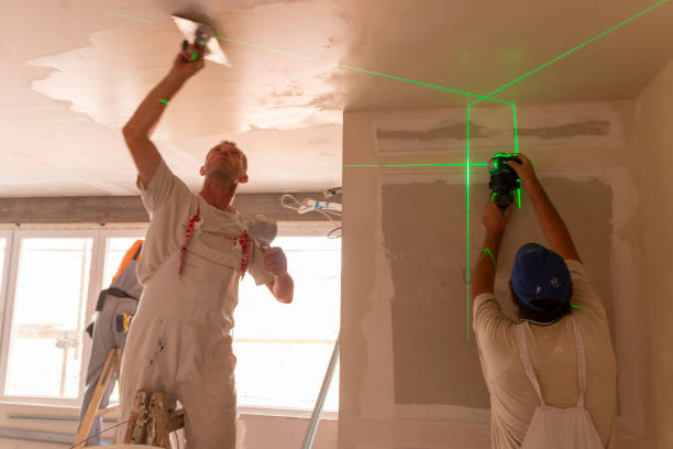 Best Biohazard Mold Removal  in Burlington, WI