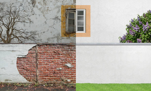 Best Mold Remediation for Healthcare Facilities  in Burlington, WI