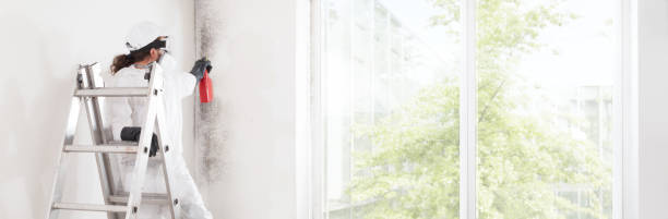 Best Attic Mold Removal  in Burlington, WI