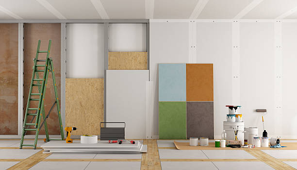 Best Mold Odor Removal Services  in Burlington, WI